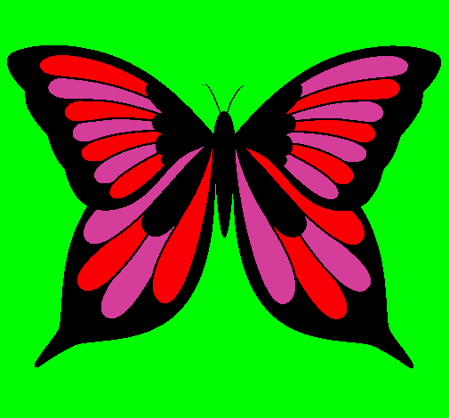 Mariposa