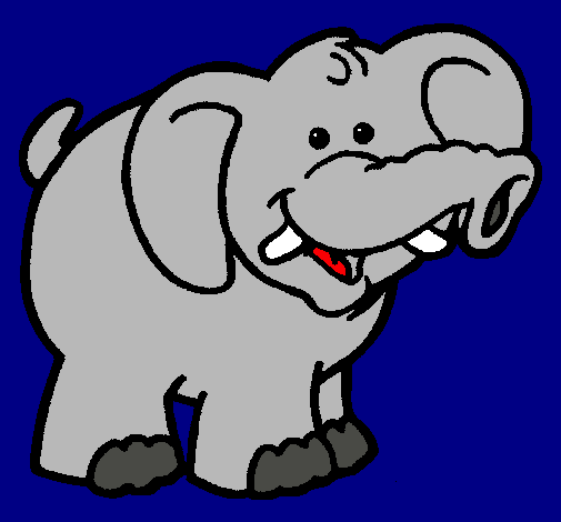 Elefante