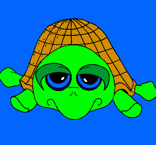 Tortuga