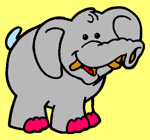 Elefante