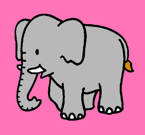 Elefante bebe