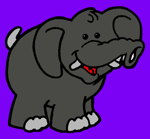 Elefante