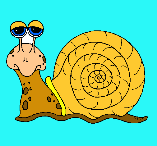 Caracol