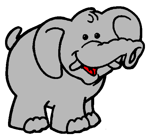 Elefante