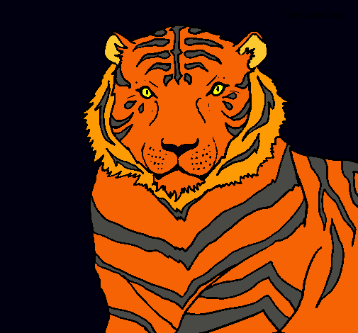 Tigre