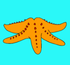 Dibujo Estrella de mar pintado por irina