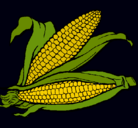 Dibujo Mazorca de maíz pintado por pimpamtomalacasitos