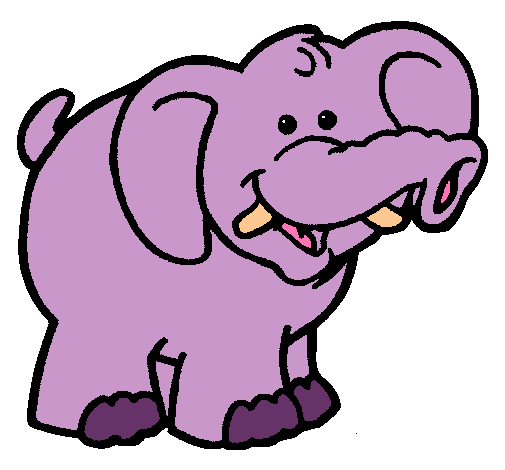 Elefante