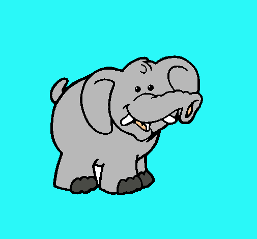 Elefante