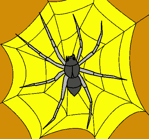 Araña