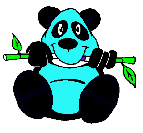 Oso panda