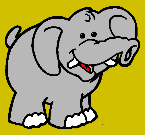 Elefante