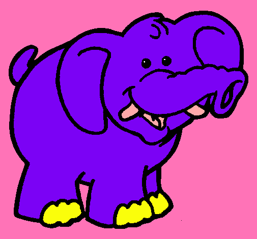 Elefante