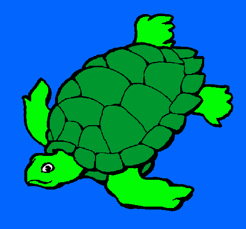 Tortuga