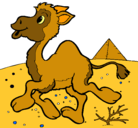 Dibujo Camello pintado por haidee