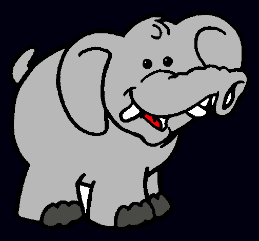 Elefante