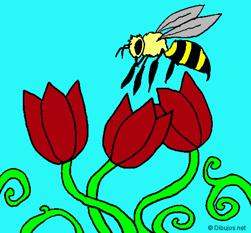 Abeja