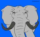Dibujo Elefante africano pintado por marc