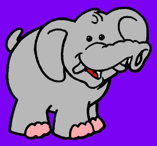 Elefante