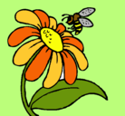 Dibujo Margarita con abeja pintado por beeflower