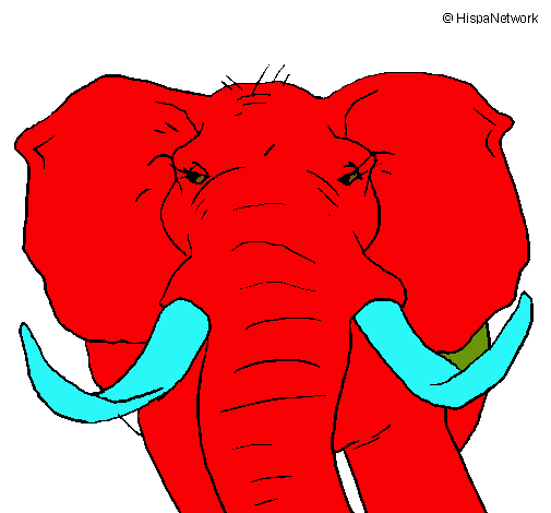 Elefante africano