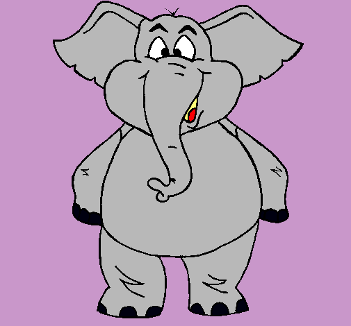 Elefante contento