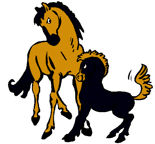 Caballos