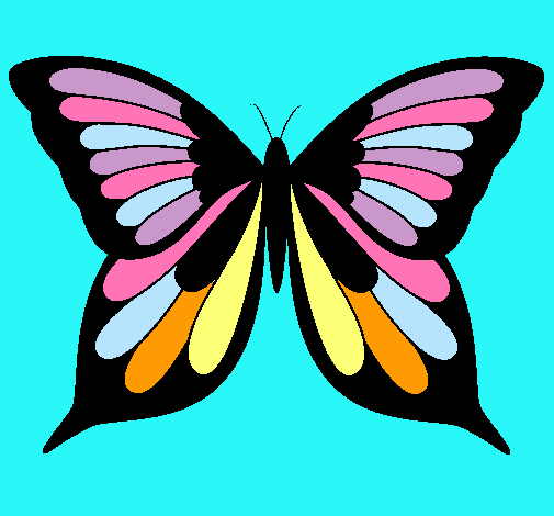 Mariposa