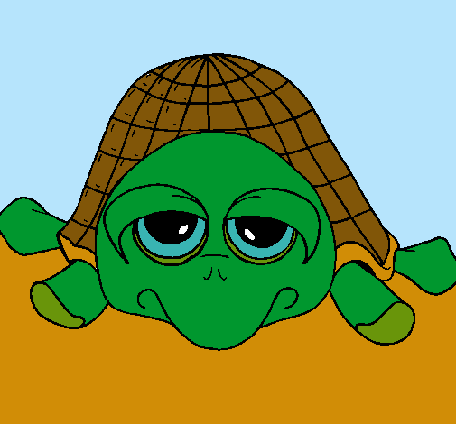 Tortuga