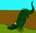 Dibujo Aligátor entrando al agua pintado por irvin