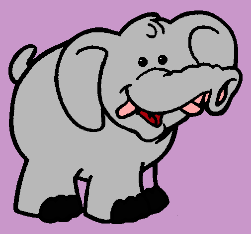 Elefante