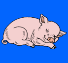 Dibujo Cerdo durmiendo pintado por andreasalgado