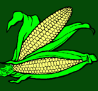 Dibujo Mazorca de maíz pintado por lorena