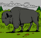 Dibujo Búfalo  pintado por irvin