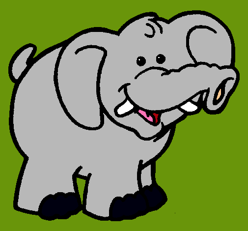 Elefante