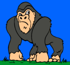 Dibujo Gorila pintado por marsupilami