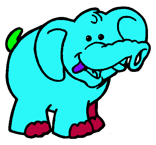 Elefante