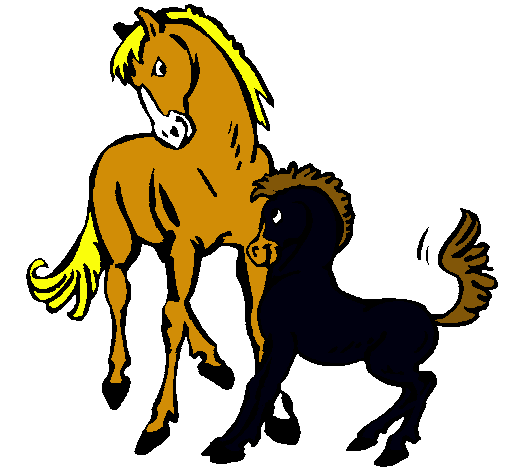 Caballos