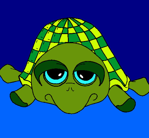 Tortuga