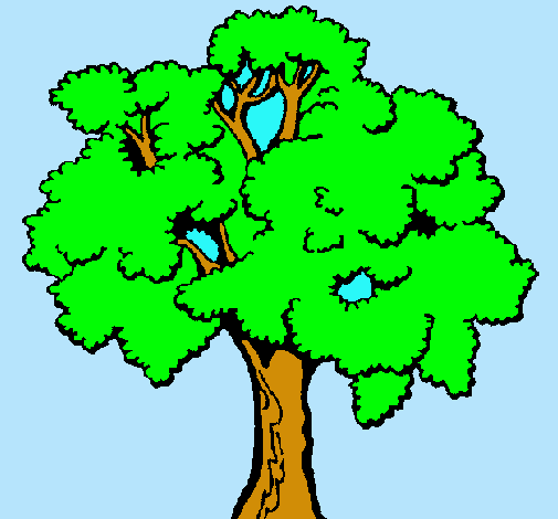 Árbol