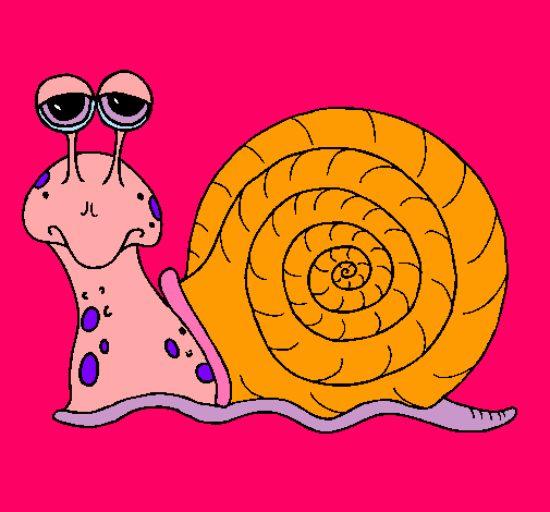 Caracol