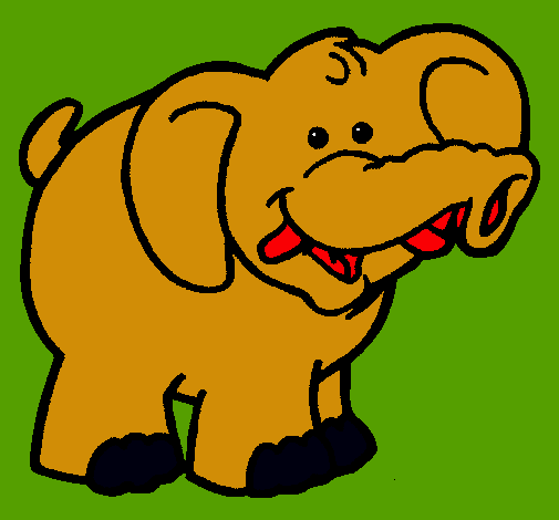 Elefante