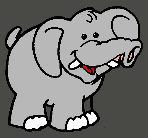 Elefante