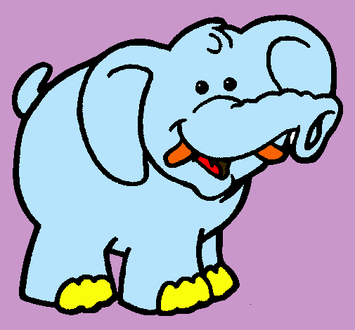 Elefante