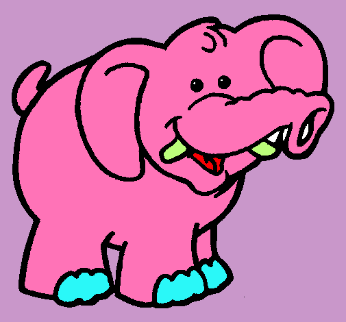 Elefante