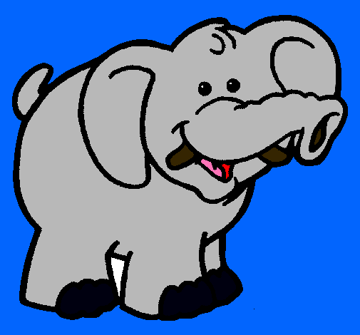 Elefante