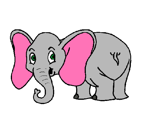 Elefante pequeño