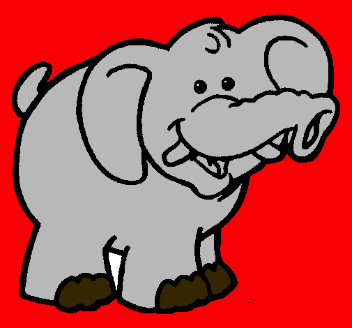 Elefante