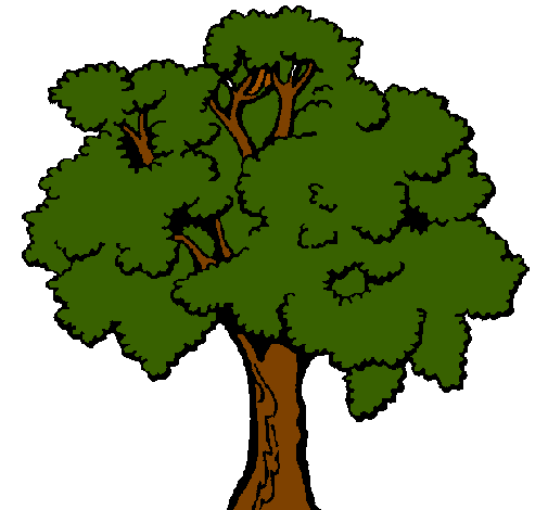 Árbol