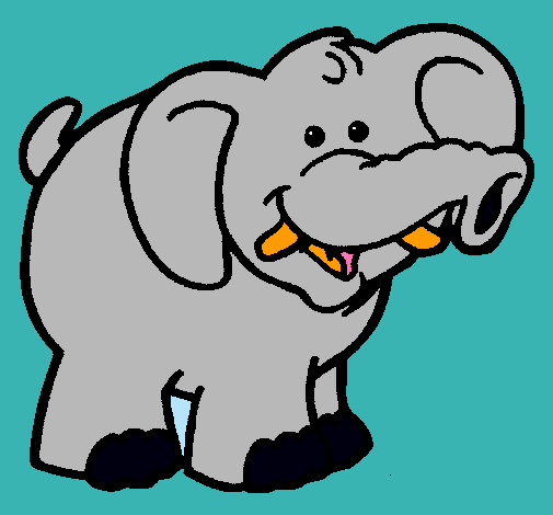 Elefante